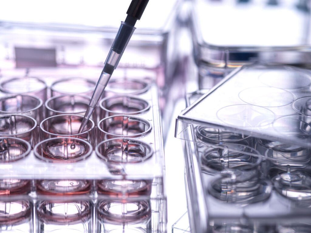 synthetic biology workflows