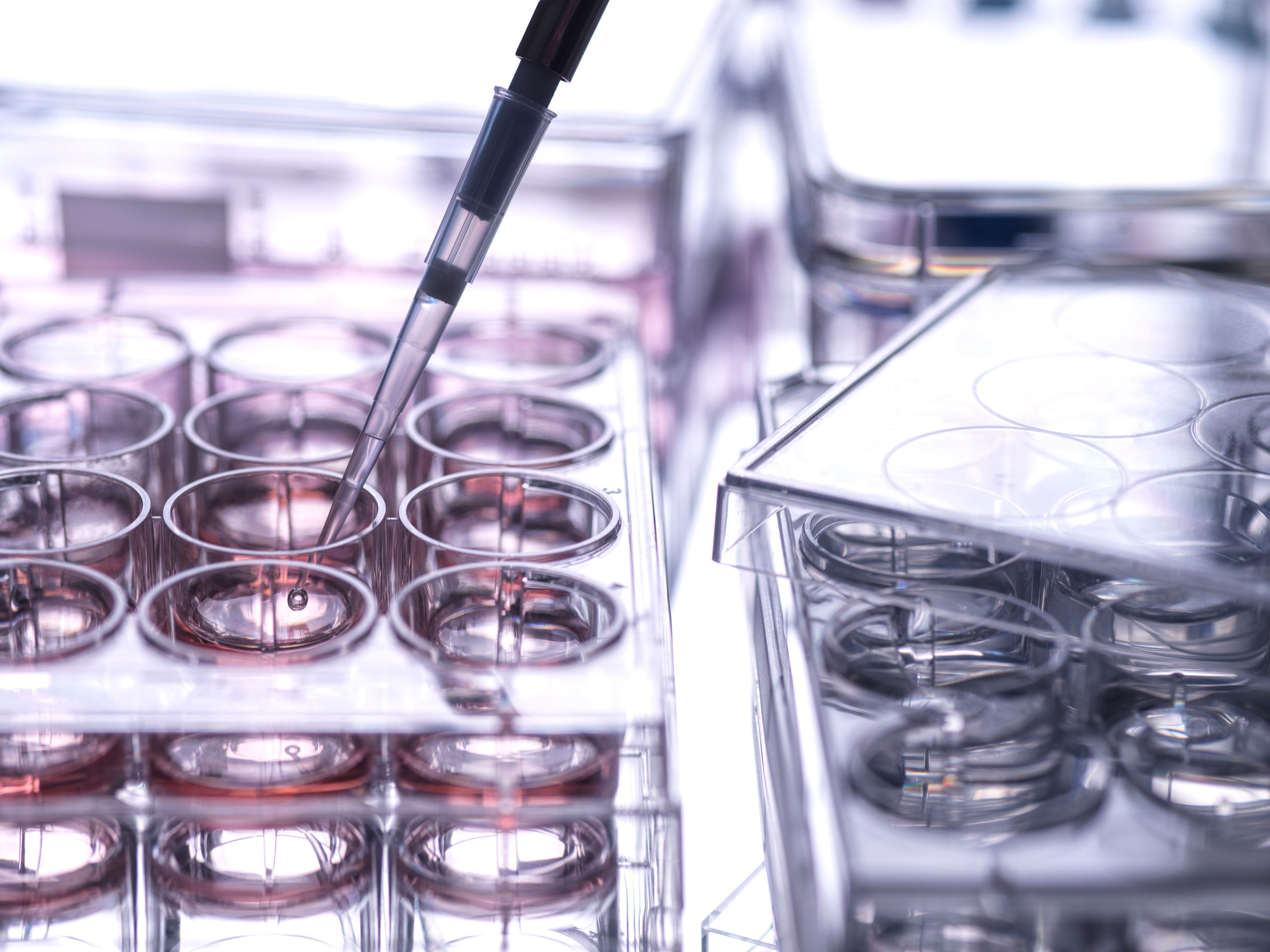 synthetic biology workflows