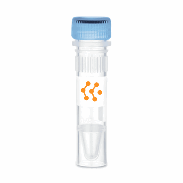 Recombinant Human Fibroblast Growth Factor Basic (FGF-2)